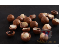 Macadamia Nuts From Viet Nam