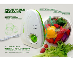 Heron Ozone Generator Ozonizer For Fruit Vegetable Cleaner