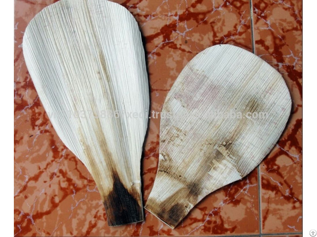 Areca Spathe Fan