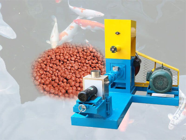 Ghana Fish Feed Production Machine And Farming Market