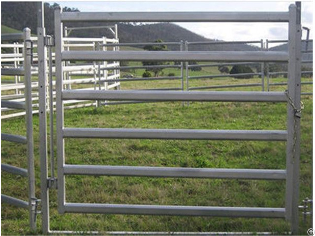 Sheep Panel For Sale