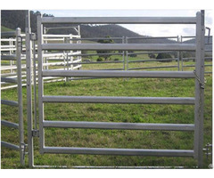 Sheep Panel For Sale