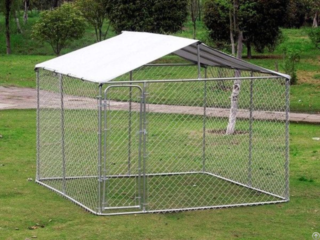 Chain Link Dog Cage