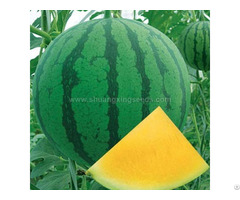 Good Quality F1 Hybrid Yellow Watermelon Seeds