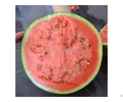 Planting Hybrid F1 Gift Types Watermelon Seed