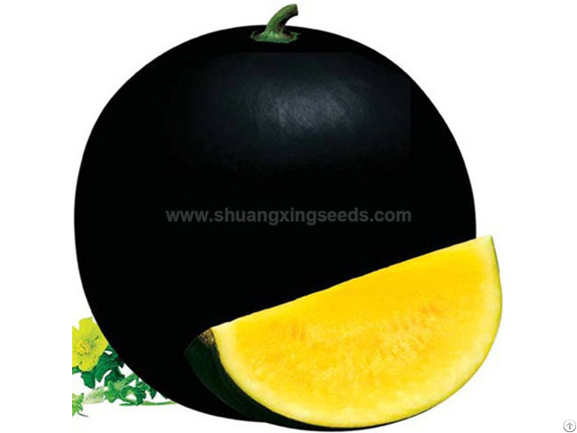 Black Girl 2 Chinese Yellow Flesh Watermelon Seeds For Planting