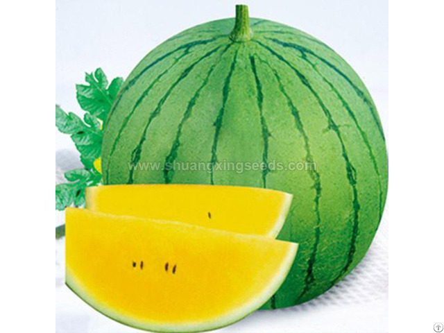 European And American Markets Hybrid F1 Watermelon Seeds