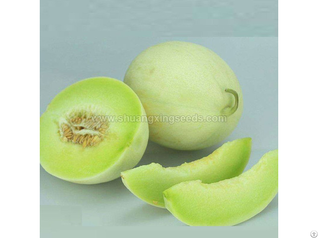 Hybrid F1 Honeydew Melon Seeds For Planting