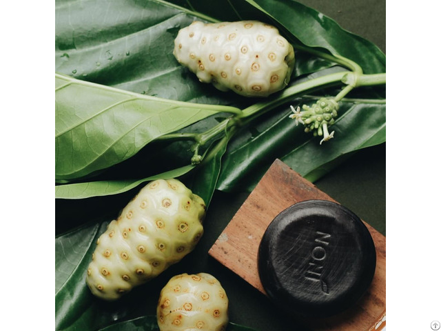 Noni Soap Made In Viet Nam