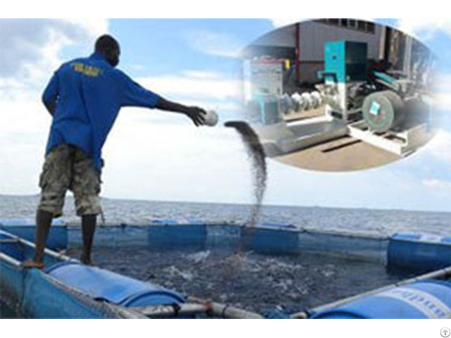 How Profitable Is The Fish Farming Business