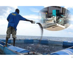 How Profitable Is The Fish Farming Business