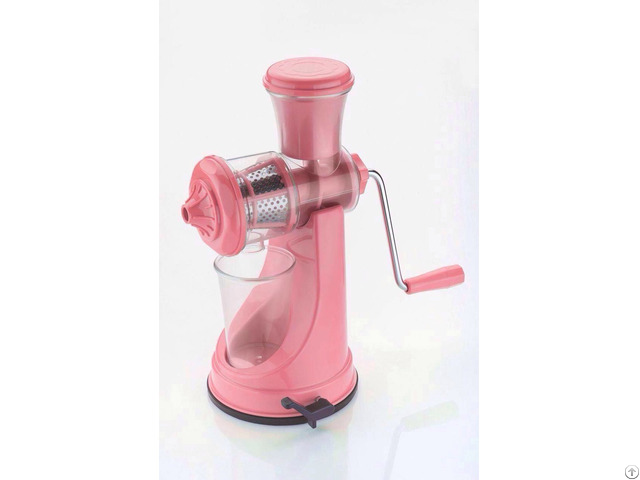 Fruit Juicer