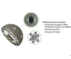 Trabecular Acetabular Cup System Material Ti6al4v