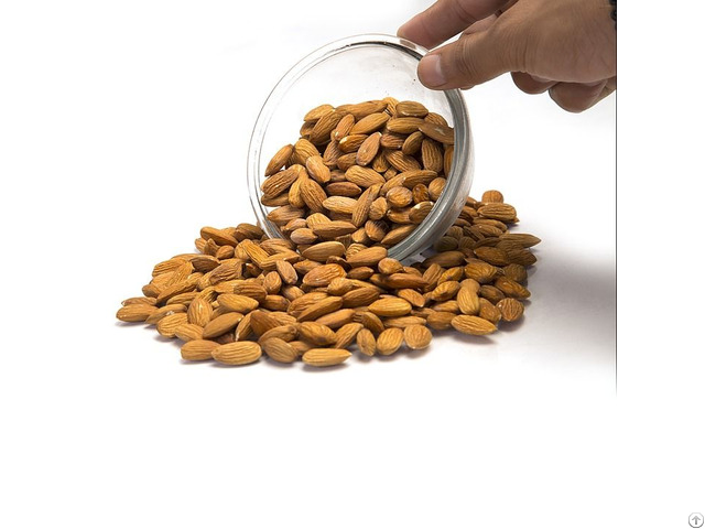 Almond Nuts For Sale