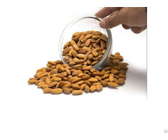 Almond Nuts For Sale