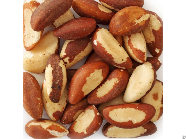 Brazil Nuts For Sale