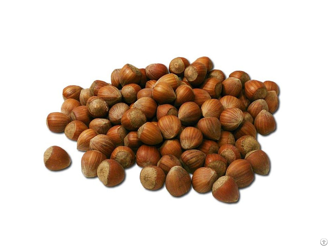 Hazelnuts For Sale