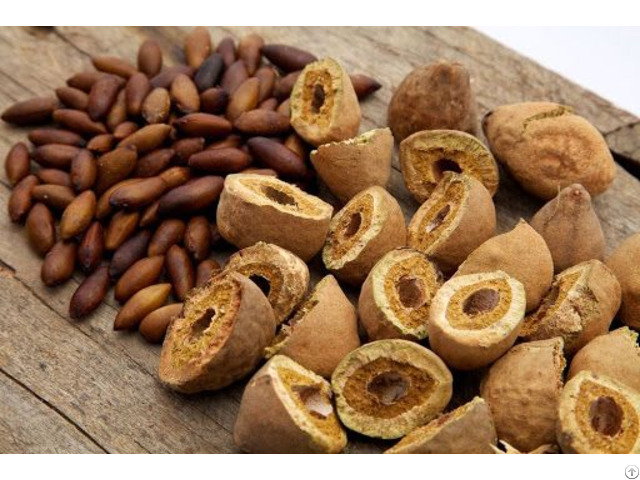 Baru Nuts For Sale