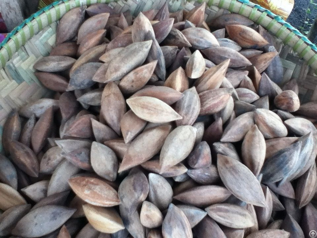 Pili Nuts For Sale