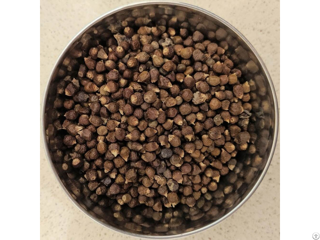 Grains Of Paradise Spice For Sale