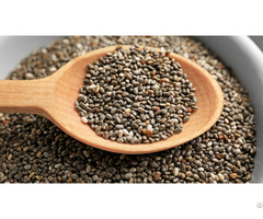 Chia Seeds For Sale