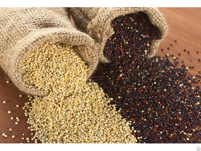 Quinoa Grains For Sale