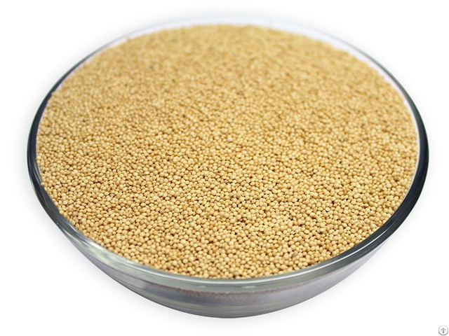 Amaranth Grains For Sale