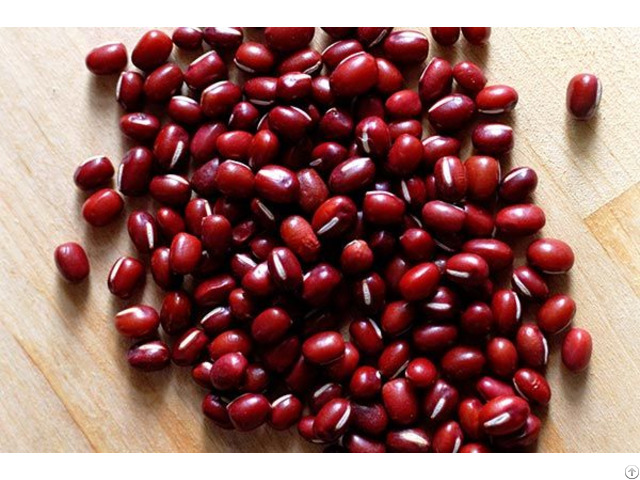 Adzuki Beans For Sale