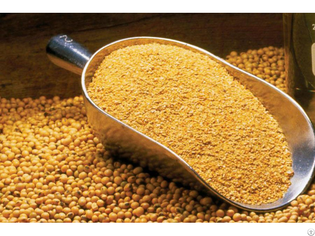 Soybean Meal For Sale