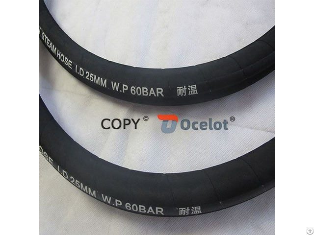 Buhar Steam Hose