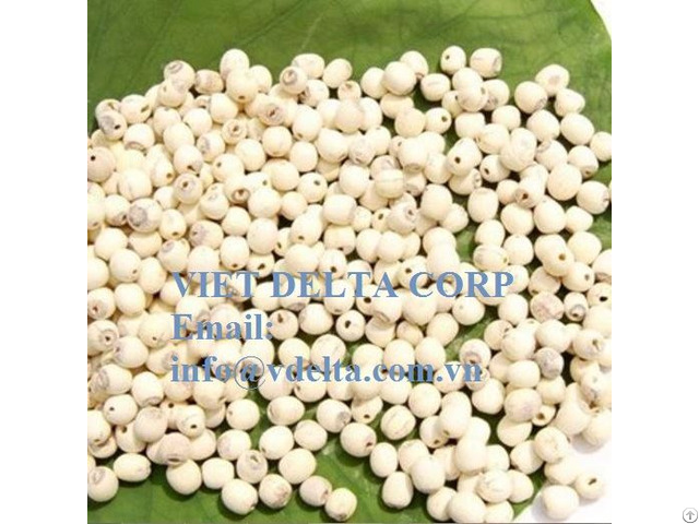 Lotus Nuts With High Quality