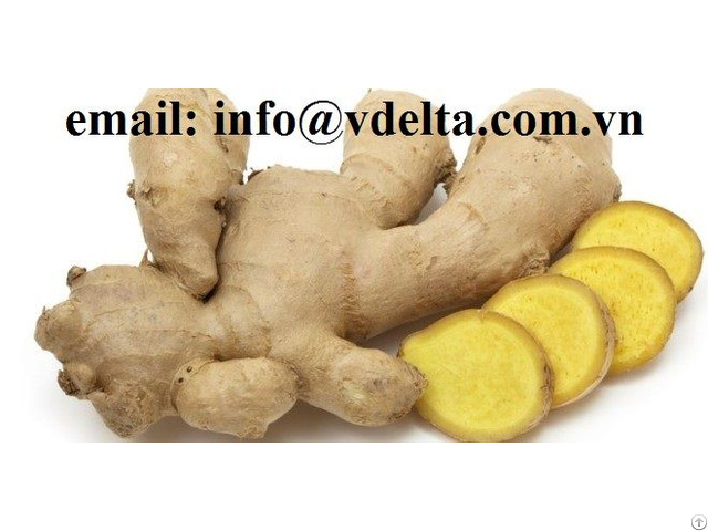 Bulk Fresh Ginger