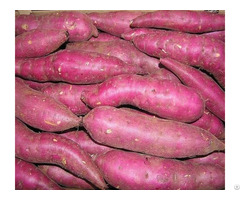 Pure Purple Sweet Potato