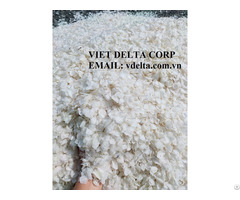 Fish Scale For Collagen From Viet Nam