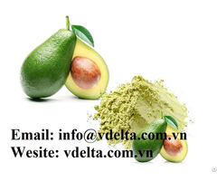 Avocado Powder For Drink And Cosmetic Purpose