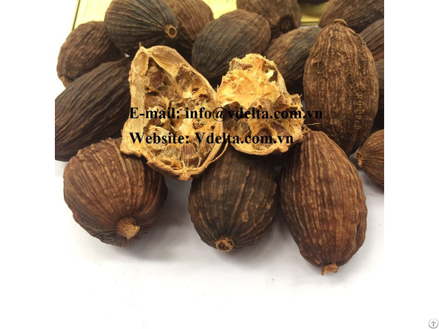 Black Cardamom From Viet Nam