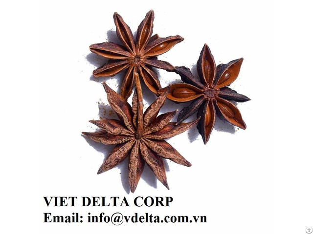 Vietnam Organic Star Anise Flower Anis