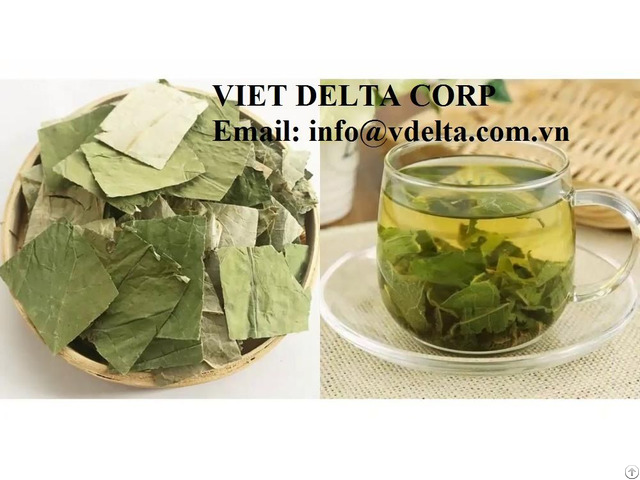 Dried Lotus Leaves Cure Insomnia