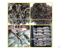 Manufacturer Dried Whole Sargassum Seaweed