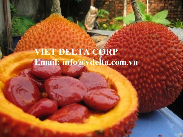 100 Percent Pure Natural Organic Extracted Gac Fruit