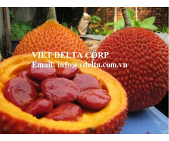 100 Percent Pure Natural Organic Extracted Gac Fruit