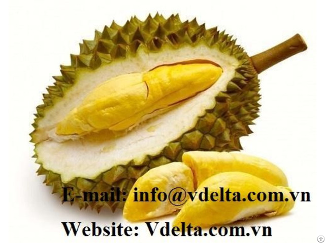 High Quality Fresh Durian From Vietnam