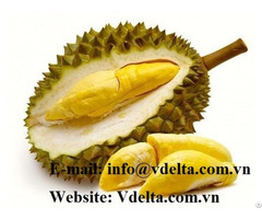 High Quality Fresh Durian From Vietnam