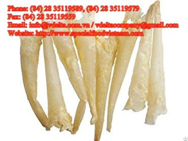 Fish Maw With Best Price