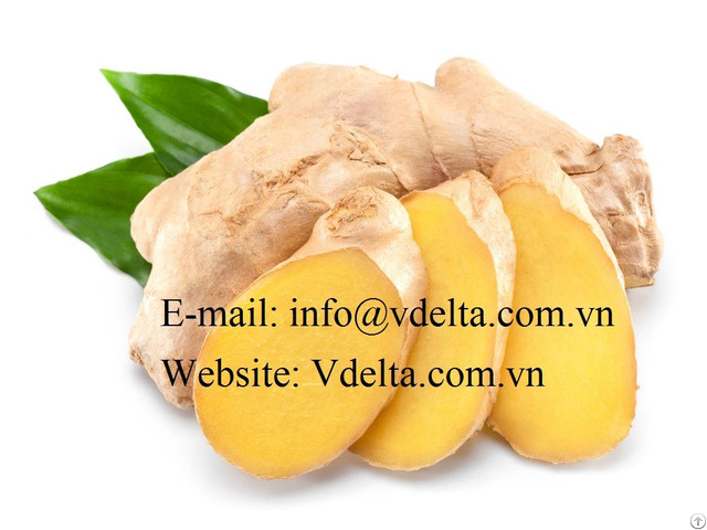 100 Percent Natural Fresh Ginger