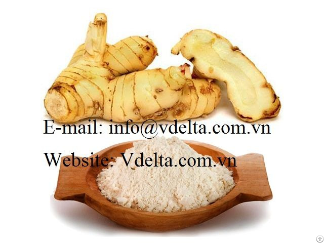 Galangal Powder High Quality From Viet Nam