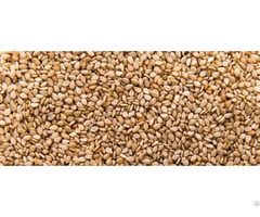 Egyptian Roasted Sesame Seeds