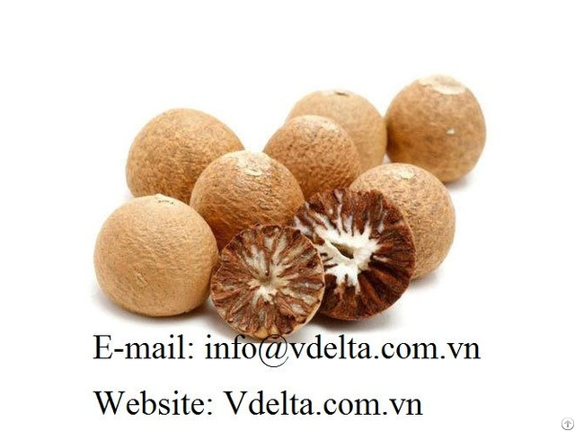 High Quality Betel Nut From Vietnam