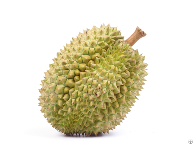 High Quality Fresh Durian