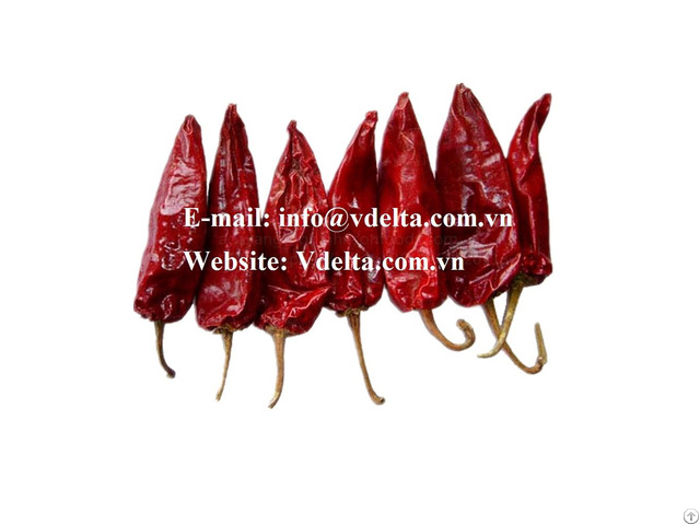 Vietnam Dried Red Chili